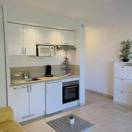 Studio Proche Centre Avec Terrasse Le Californie *